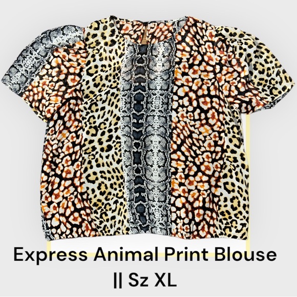 Express Animal Print Blouse - Picture 1 of 4